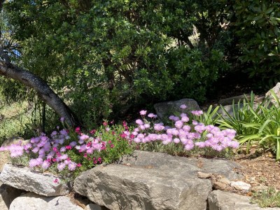 Villa Riad La Londe - Outdoor photo 31