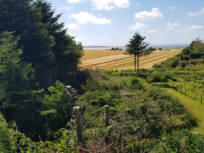Holiday house Panoramic Retreat with Spa - Outdoor photo 5