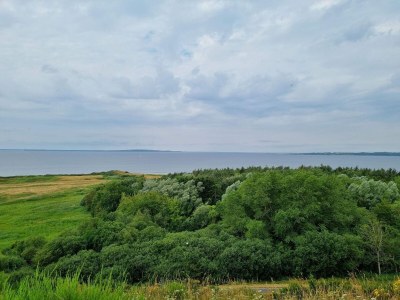 Holiday house Panoramic Retreat with Spa - Outdoor photo 6