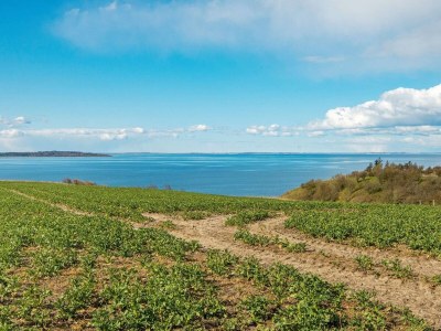 Holiday house Panoramic Retreat with Spa - Outdoor photo 13