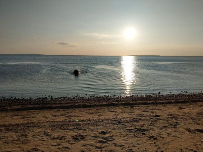 Holiday house Panoramic Retreat with Spa - Outdoor photo 41