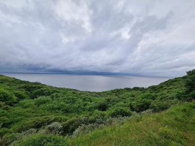 Holiday house Panoramic Retreat with Spa - Outdoor photo 47