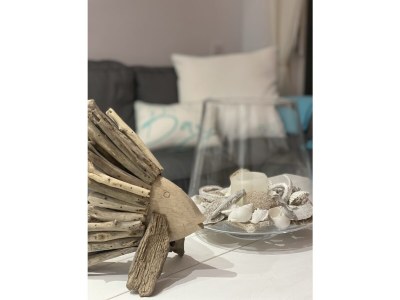 Apartment Casa Blanka Bahia Playa - Features photo 17