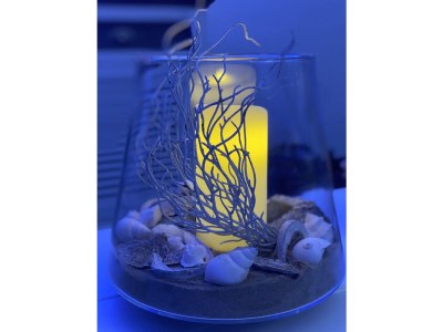 Apartment Casa Blanka Bahia Playa - Features photo 18