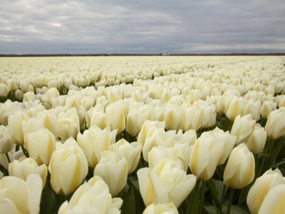 Holiday house No title - Environment photo 31