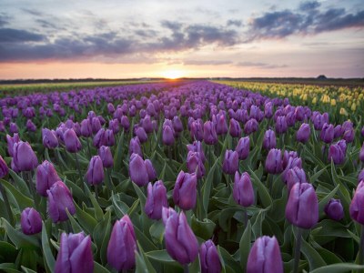 Holiday house No title - Environment photo 32