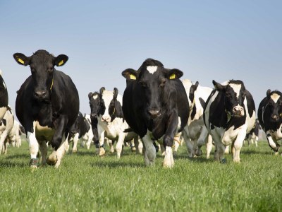 Holiday house No title - Environment photo 34