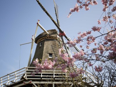 Holiday house No title - Environment photo 37