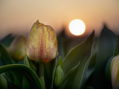 Holiday house No title - Environment photo 38