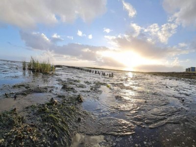 Apartment 6 person holiday home in Rømø - Outdoor photo 11