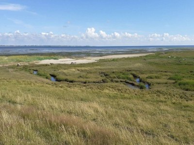 Apartment 6 person holiday home in Rømø - Outdoor photo 34