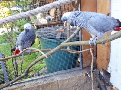 Holiday apartment Komfortapartment - Outdoor photo 11