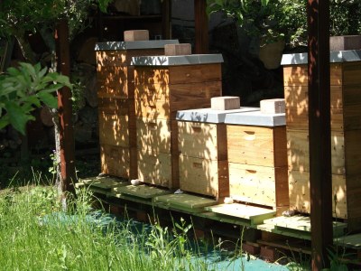 Holiday apartment Komfortapartment - Document photo 42