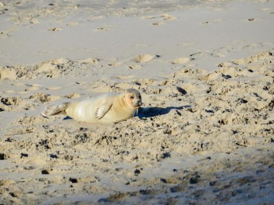 Apartment Apartment in Vlissingen near Sandy Beach - Environment photo 34