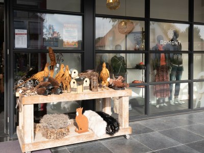 Apartment Apartment in Renesse near the Beach - Environment photo 19