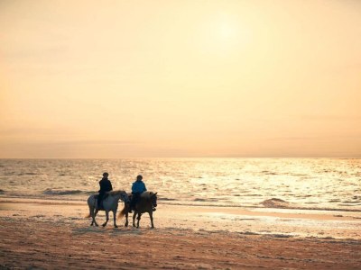 Apartment Studio in Domburg near Beach and Nature Reserve - Environment photo 27
