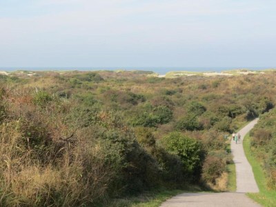 Apartment Studio in Domburg near Beach and Nature Reserve - Environment photo 33