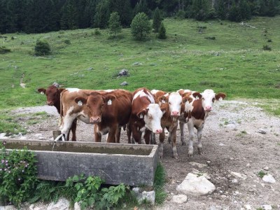 Holiday apartment Family Keul - Environment photo 14