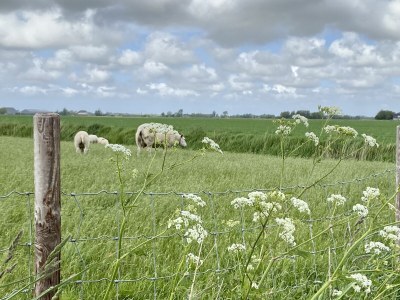 Holiday house De Non - Outdoor photo 9