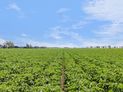 Holiday house De Non - Environment photo 28