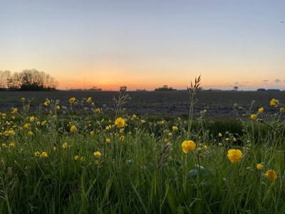 Holiday house De Non - Environment photo 31