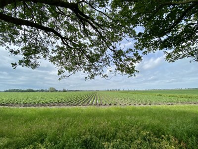 Holiday house De Non - Environment photo 32