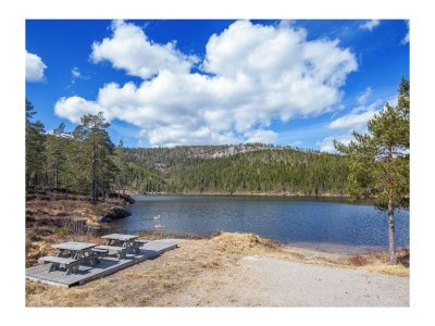 Holiday house Cabin Lykkehjem - Environment photo 26