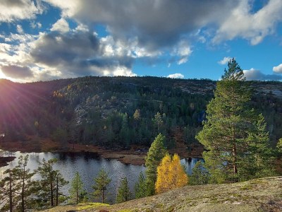 Holiday house Cabin Lykkehjem - Environment photo 34