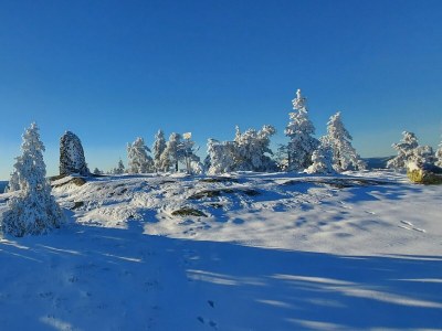 Holiday house Cabin Lykkehjem - Environment photo 39