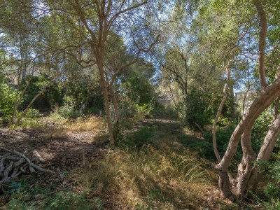 Villa Villa Maria 6 - Outdoor photo 19