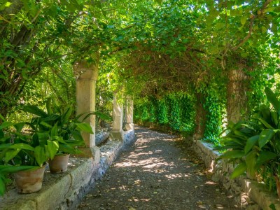 Apartment Son Vivot - Nº4 Hab. Doble Salón - Adults Only - Outdoor photo 18