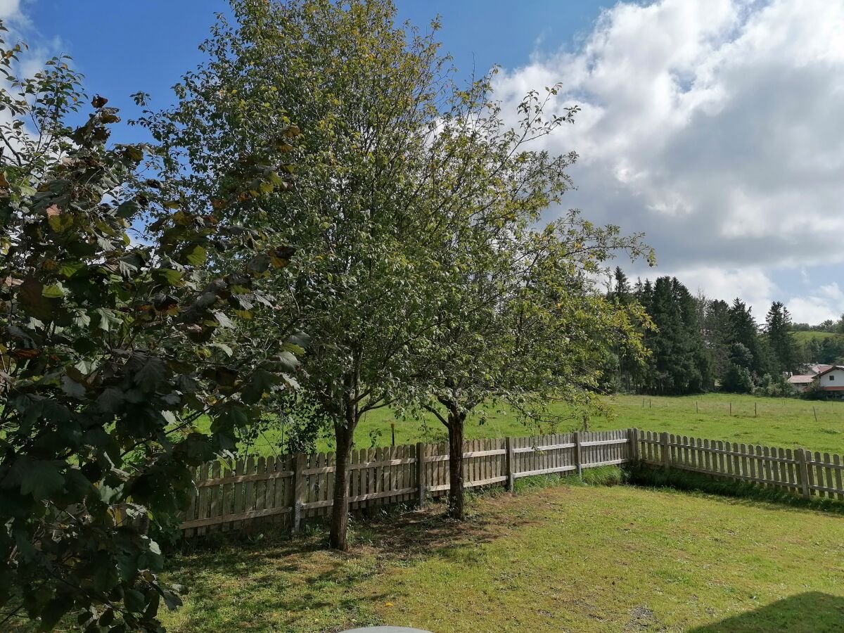 Holiday house Cockrel House - Outdoor photo 2