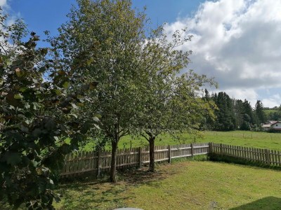 Holiday house Cockrel House - Outdoor photo 2