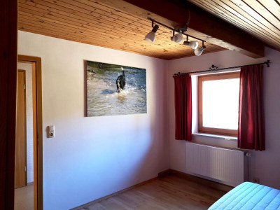 Holiday house Cockrel House - Features photo 22