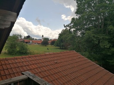 Holiday house Cockrel House - Features photo 30