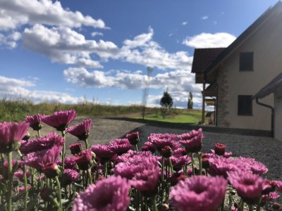 Villa Landvilla Sinelia - Outdoor photo 3