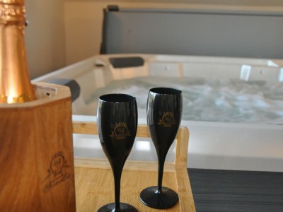 Villa Landvilla Sinelia - Features photo 9