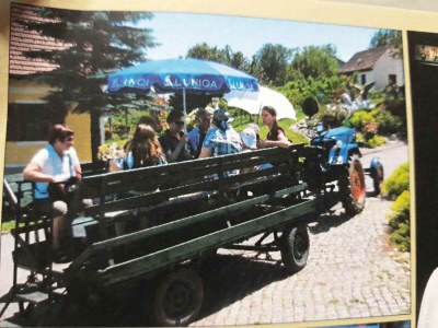 Villa Landvilla Sinelia - Environment photo 23