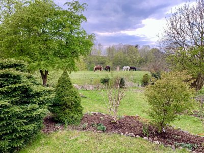 Holiday house No title - Outdoor photo 11