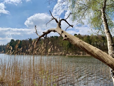 Holiday house No title - Environment photo 32