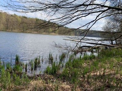 Holiday house No title - Environment photo 33