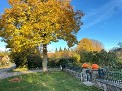 Holiday house No title - Environment photo 36