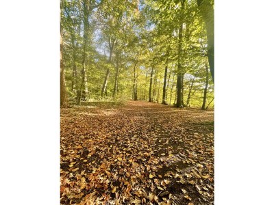 Holiday house No title - Environment photo 37