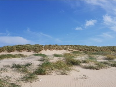 Holiday apartment Studio Oog - Environment photo 16