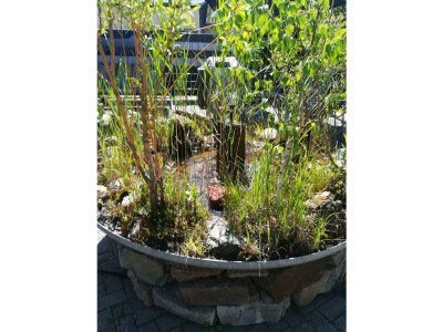 Apartment Ferienhaus, Dusche und Bad, WC, 4 oder mehr Schlaf - Outdoor photo 3