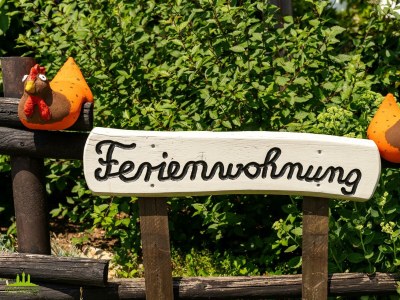 Apartment Ferienwohung "Spatzennest" in Sohren - Apartment