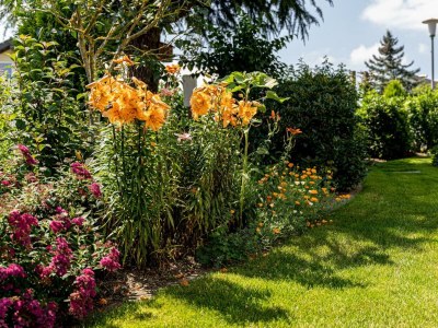 Apartment Ferienwohung "Spatzennest" - Outdoor photo 9