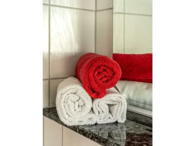 Apartment Ferienwohung "Spatzennest" - Features photo 11