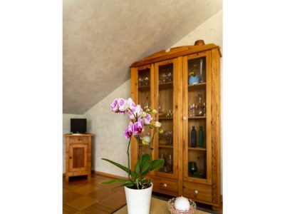 Apartment Ferienwohung "Spatzennest" - Features photo 17