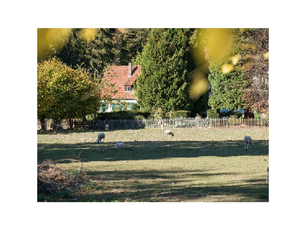 Holiday apartment Kutscherstube - Outdoor photo 3